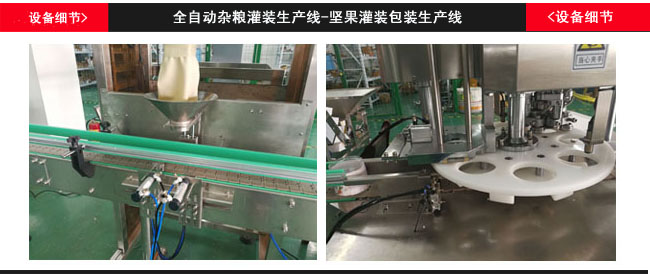 全自動雜糧灌裝生產線設備細節