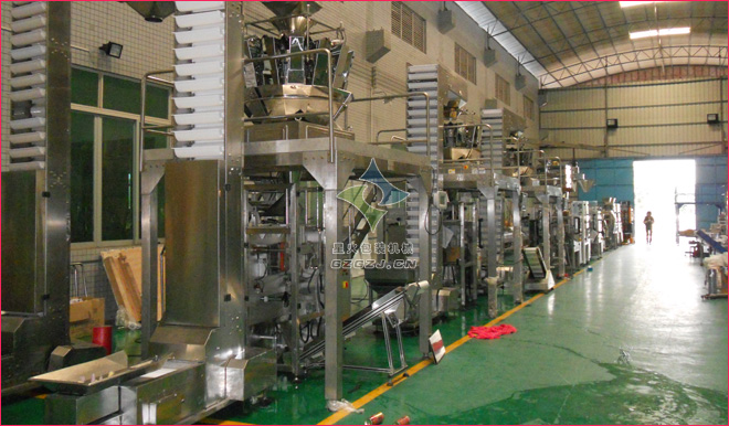 全自動速凍食品包裝機,袋裝速凍餃子包裝機